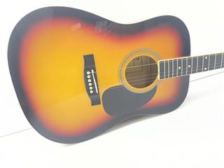Eleca Acoustic Guitar DAG-5-SB